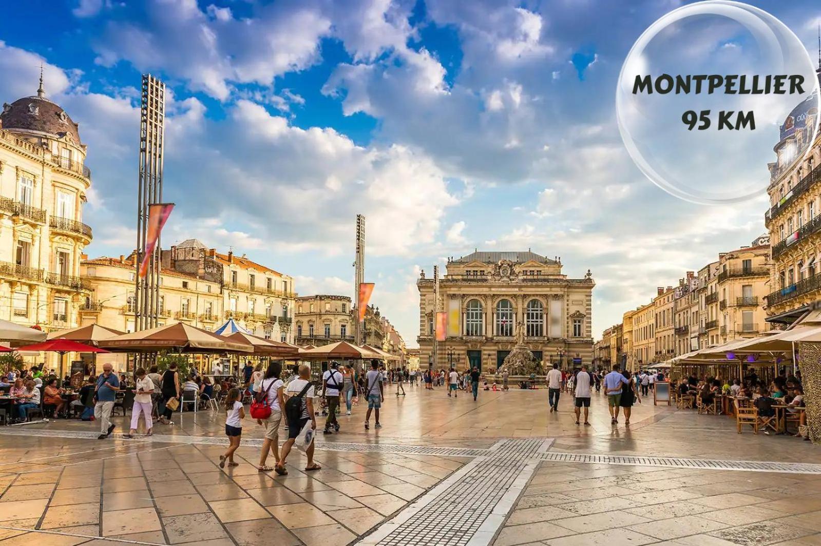 Apartmán Le Cosy Du Gal, A 2 Pas Du Palais Des Papes Parking Gratuit Securise Avignon Exteriér fotografie