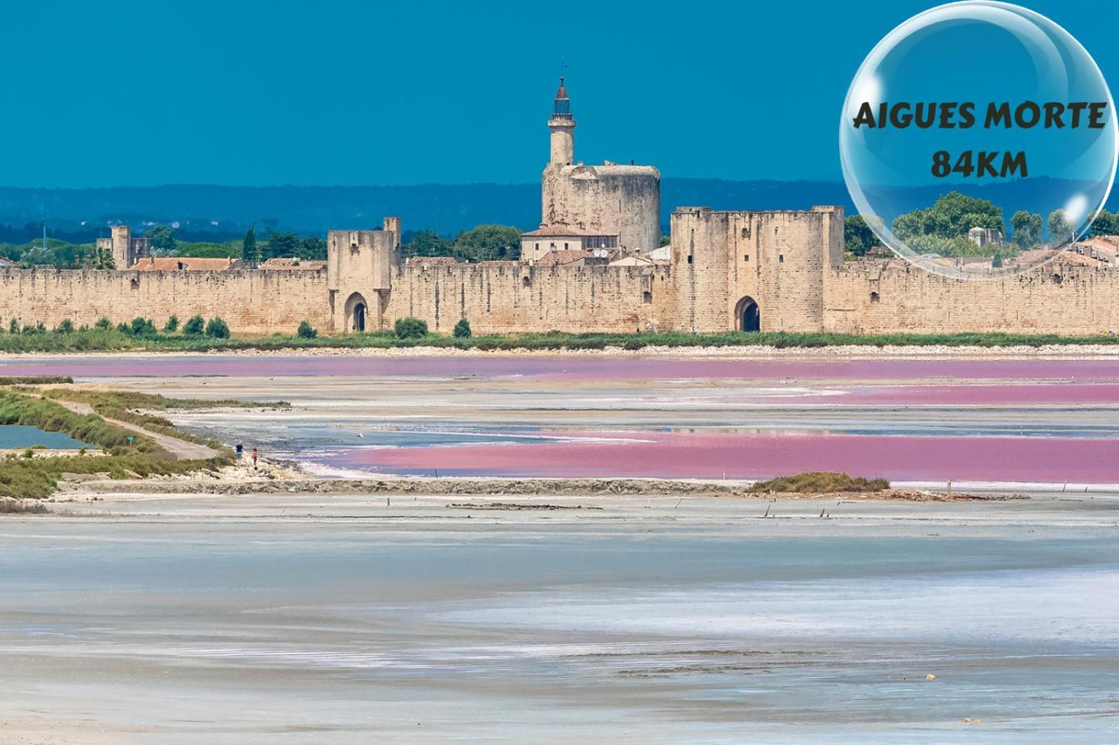 Apartmán Le Cosy Du Gal, A 2 Pas Du Palais Des Papes Parking Gratuit Securise Avignon Exteriér fotografie